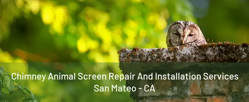 Chimney Animal Screen Repair And Installation Services San Mateo - CA