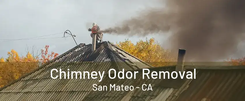 Chimney Odor Removal San Mateo - CA