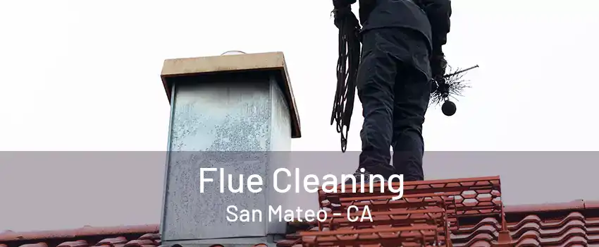 Flue Cleaning San Mateo - CA