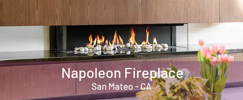 Napoleon Fireplace San Mateo - CA