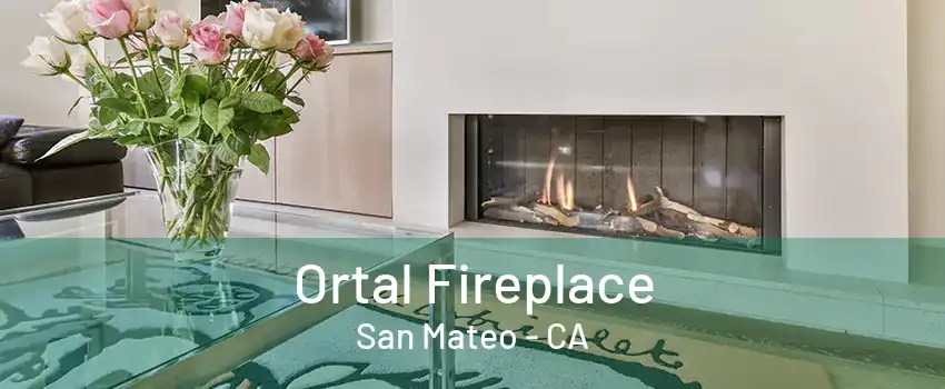 Ortal Fireplace San Mateo - CA